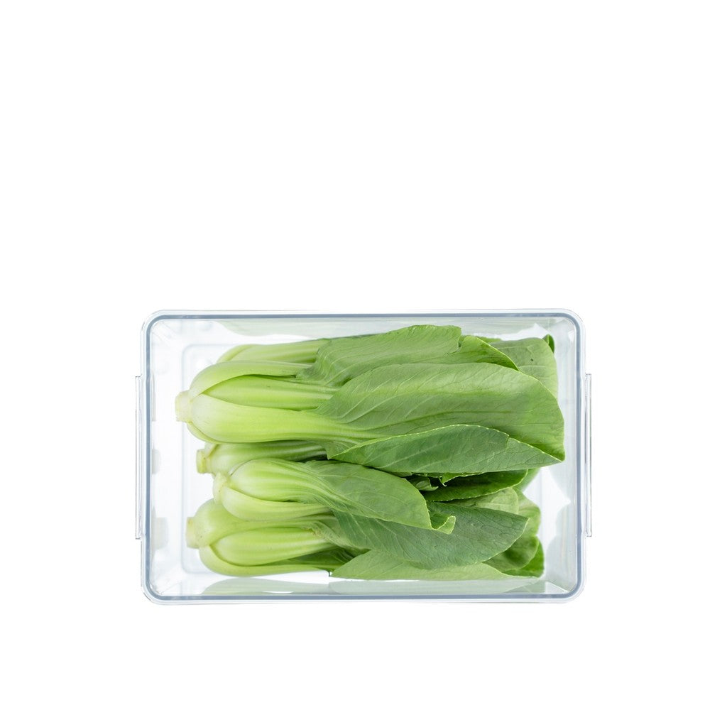 Tritan Hokkaido Rectangle Food Container 2000 ml